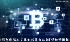 TP钱包密码忘了该如何导出私钥？详细