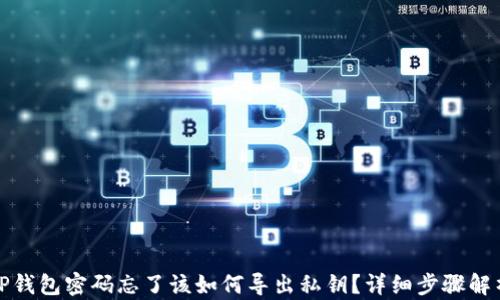 TP钱包密码忘了该如何导出私钥?详细步骤解析