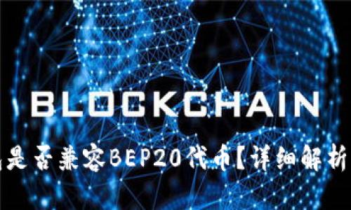 TP钱包是否兼容BEP20代币?详细解析与指南