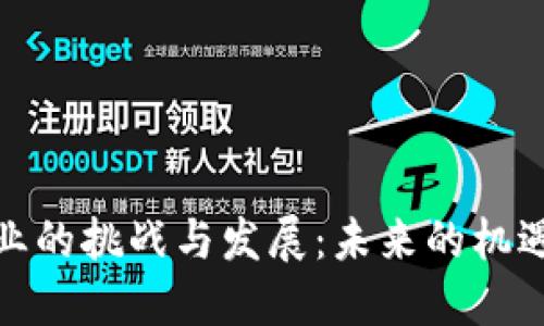 加密货币矿业的挑战与发展：未来的机遇和应对策略