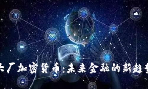 大厂加密货币：未来金融的新趋势