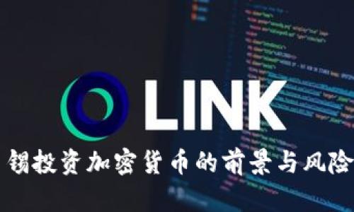 淡马锡投资加密货币的前景与风险分析