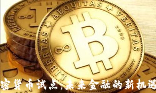 国家加密货币试点:未来金融的新机遇与挑战