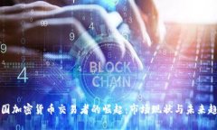 中国加密货币交易者的崛起：市场现状