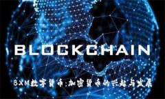 BXM数字货币：加密货币的兴起与发展